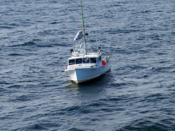 Wicked Tuna - Snitches Get Fishes