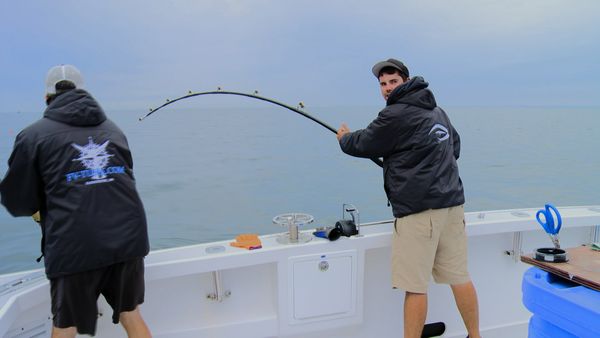 Wicked Tuna - The Final Fishdown