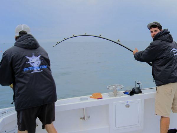 Wicked Tuna - The Final Fishdown