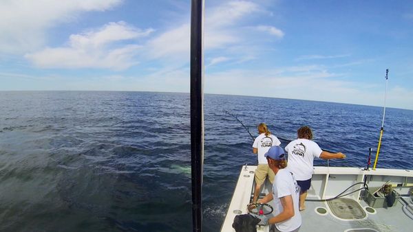 Wicked Tuna - Checkmate