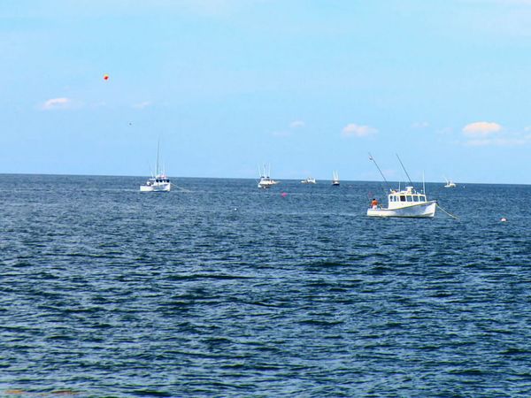 Wicked Tuna - Bad Latitude