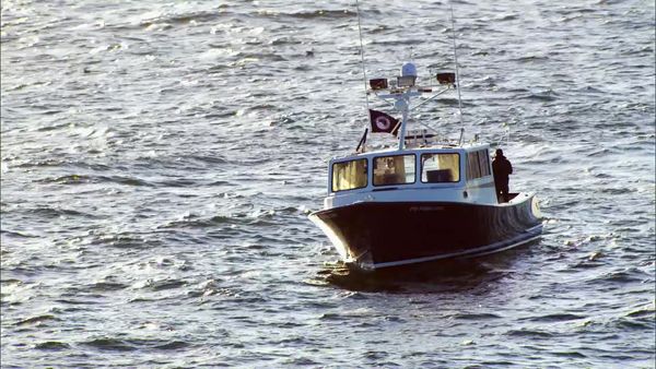 Wicked Tuna - Battle Royale