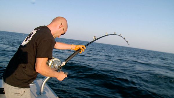 Wicked Tuna - The Wicked Return
