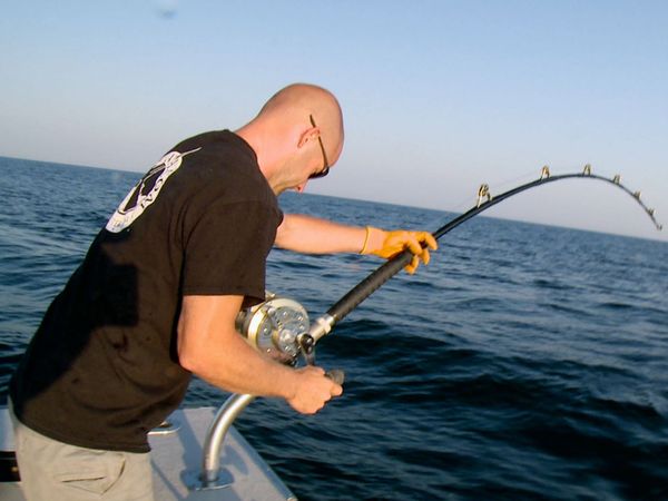 Wicked Tuna - The Wicked Return