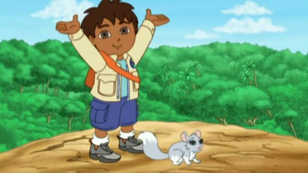 Go, Diego, Go! - Chinta, a bebê chinchila
