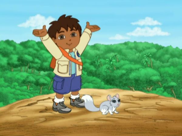 Go, Diego, Go! - Chinta, a bebê chinchila