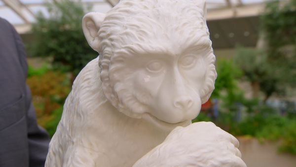 Antiques Roadshow - National Botanic Garden of Wales 2