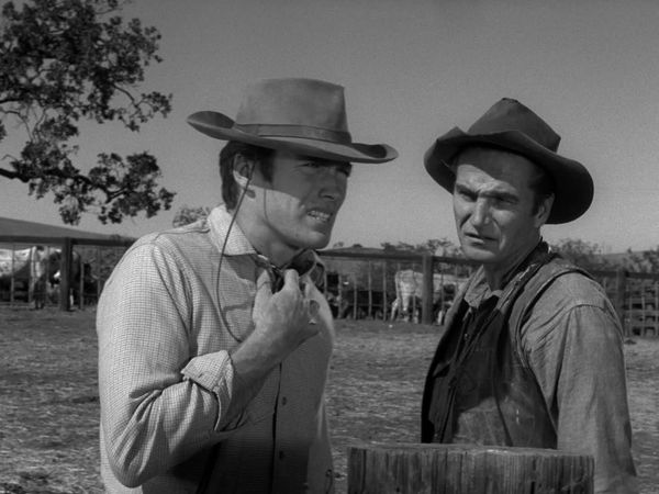 Rawhide - No Dogs or Drovers