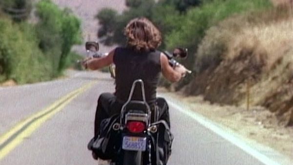 Renegade - Incidente di caccia
