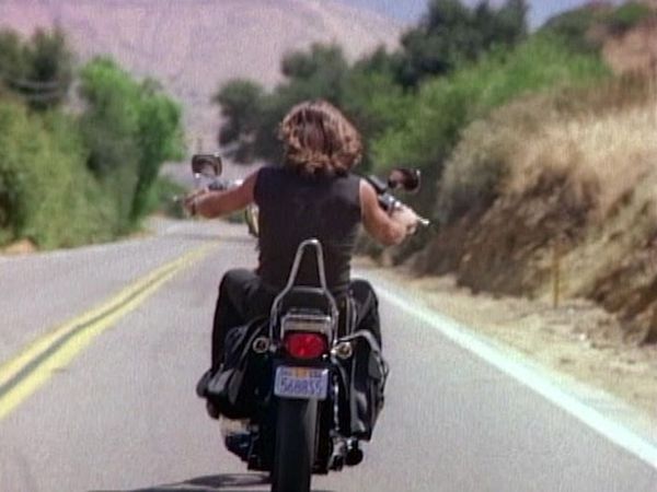 Renegade - Incidente di caccia