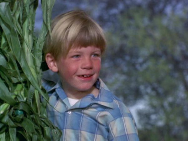 Green Acres - Oliver And The Cornstalk