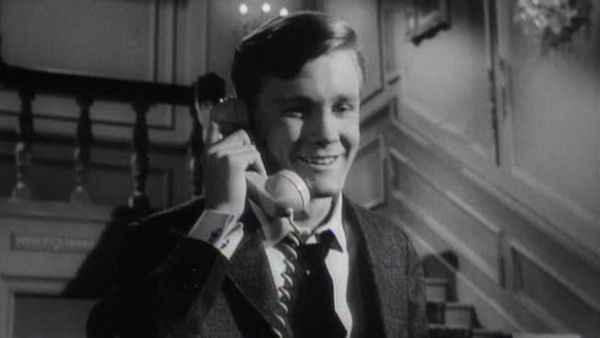 Perry Mason - The Case of the Potted Planter