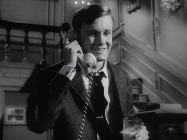 Perry Mason - The Case of the Potted Planter