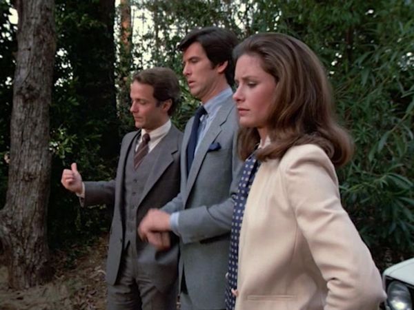Remington Steele - Omicidio d'annata