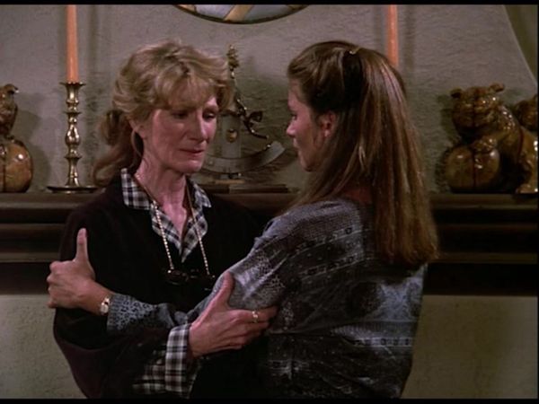 Remington Steele - Gli incerti del mestiere