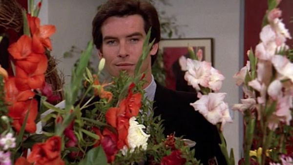 Remington Steele - Elementare Steele