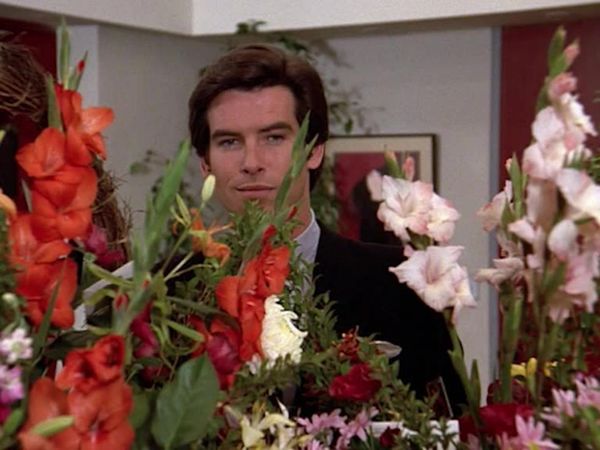 Remington Steele - Elementare Steele