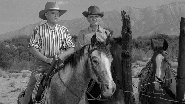 Have Gun Will Travel - The Calf