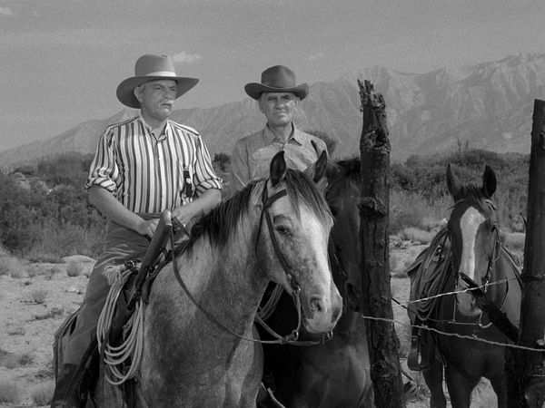 Have Gun Will Travel - The Calf