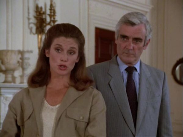 Remington Steele - Amnesia