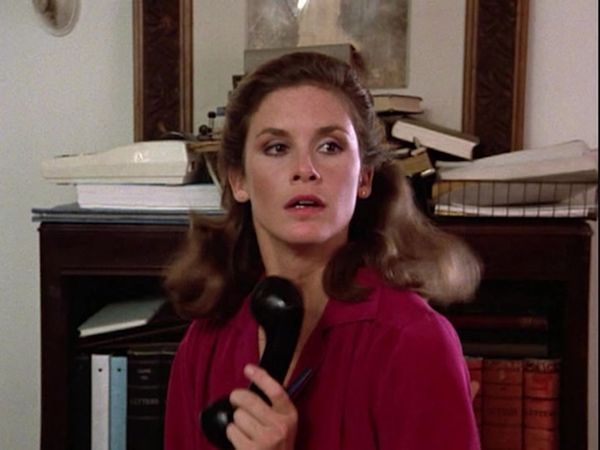 Remington Steele - Terribili segreti