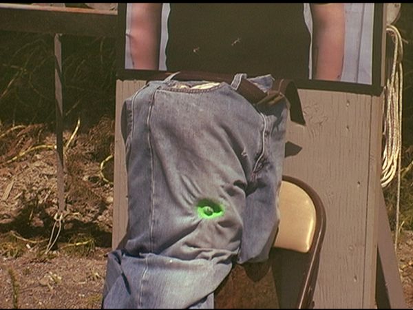 Guinea Pig - Less Lethal