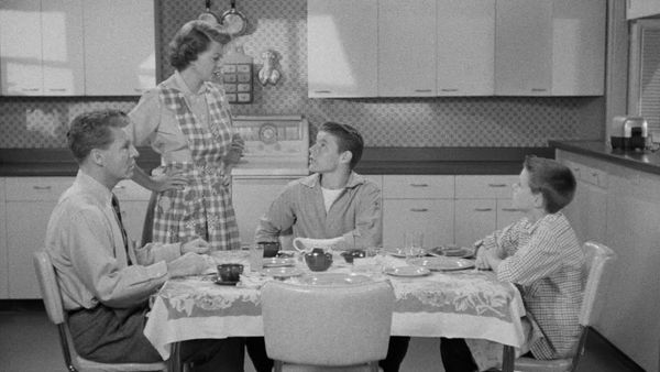 The Adventures of Ozzie and Harriet - The Day After Thanksgiving