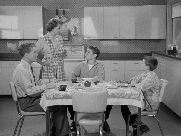 The Adventures of Ozzie and Harriet - The Day After Thanksgiving