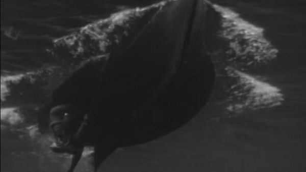 Sea Hunt - The Alcatraz Story