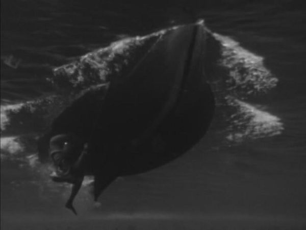Sea Hunt - The Alcatraz Story