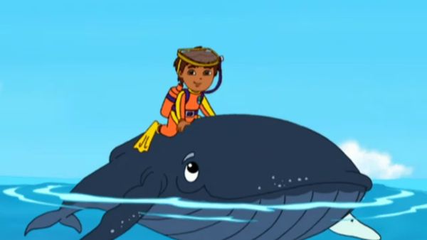 Go Diego Go LT - Diego y la jorabada ballena bebé al rescate