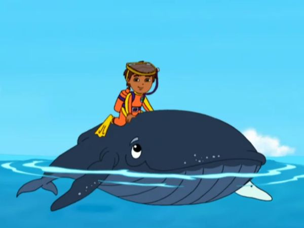 Go Diego Go LT - Diego y la jorabada ballena bebé al rescate