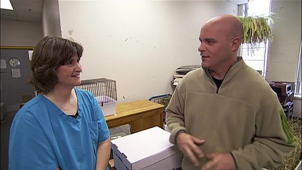 Disaster DIY - Humane Society