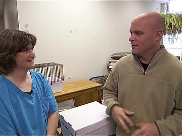 Disaster DIY - Humane Society