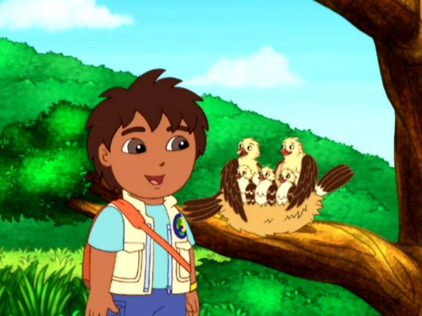 Go Diego Go LT - Rhea es un rescatista de animales