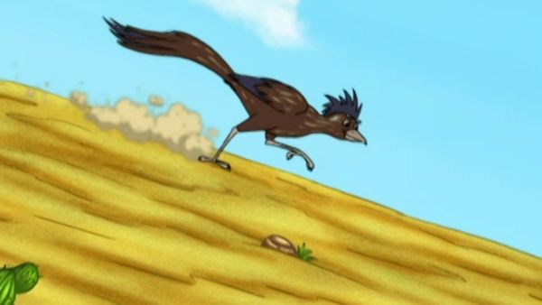 Go, Diego, Go! - A grande corrida de cucos