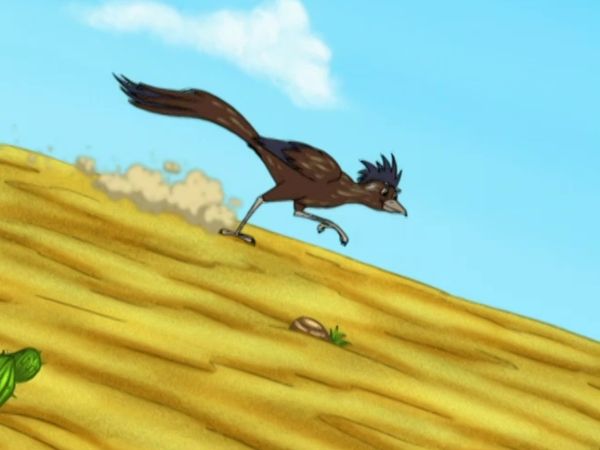 Go, Diego, Go! - A grande corrida de cucos