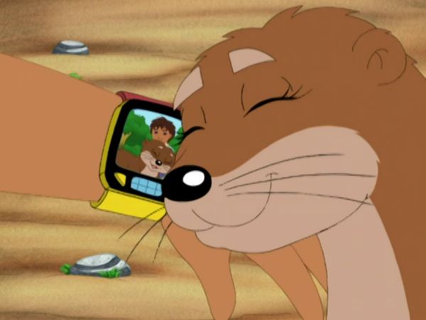 Go, Diego, Go! - Diego e Alicia salvam as lontras