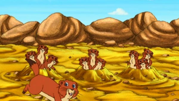 Go, Diego, Go! - Panchita, o Cão-de-Pradaria