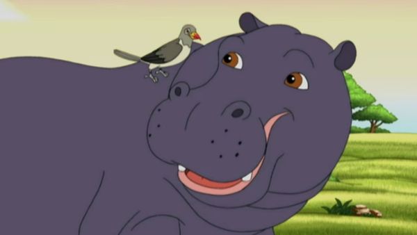 Go Diego Go LT - Diego reúne al hipopótamo y al picabueyes