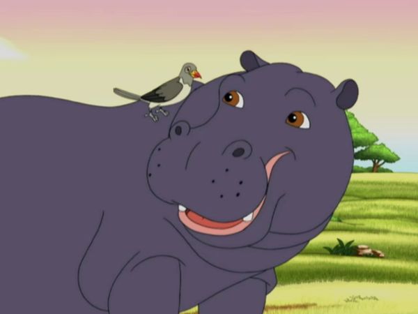 Go Diego Go LT - Diego reúne al hipopótamo y al picabueyes