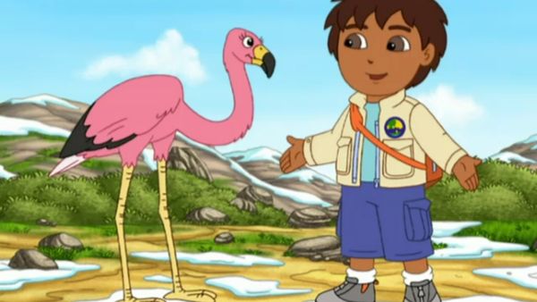 Go Diego Go LT - Un nuevo Flamingo