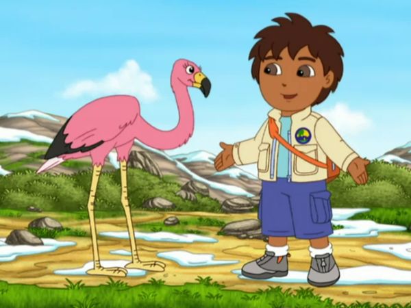 Go Diego Go LT - Un nuevo Flamingo