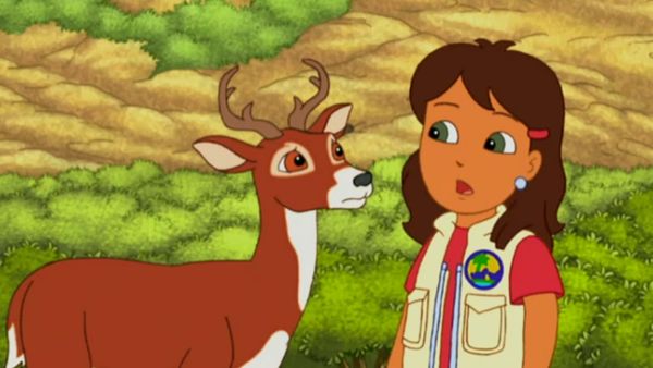 Go Diego Go LT - Alicia y Colablanca al rescate