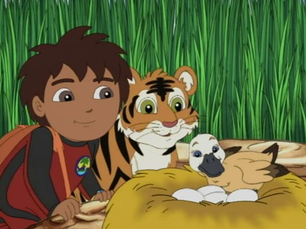 Go Diego Go LT - El tigre bengala pide un deseo
