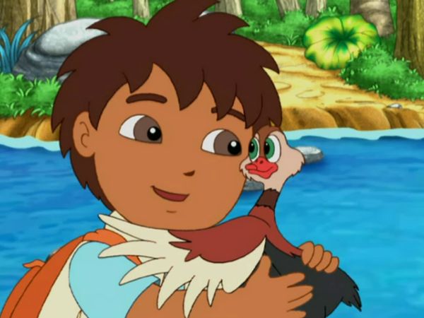 Go Diego Go LT - Willie consigue un compañero