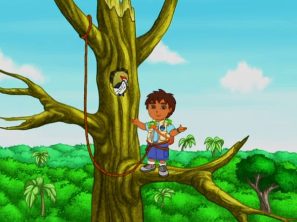 Go Diego Go LT - Rapsodia de la selva