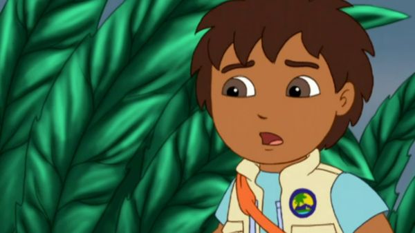Go Diego Go LT - Es un mundo de insectos