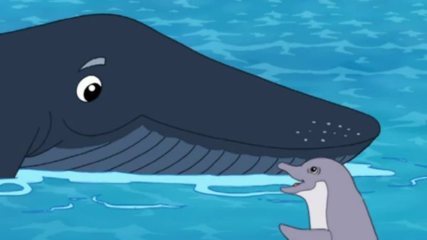 Go, Diego, Go! - Salva-vidas de animais marinhos