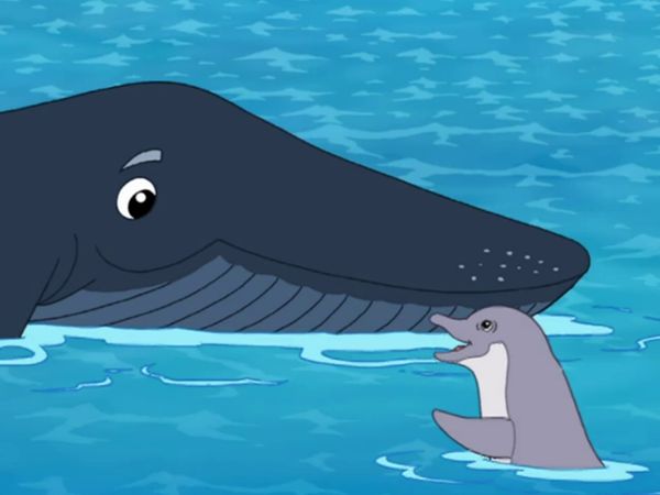 Go, Diego, Go! - Salva-vidas de animais marinhos